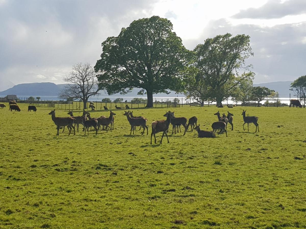 Applecross B&B Kültér fotó