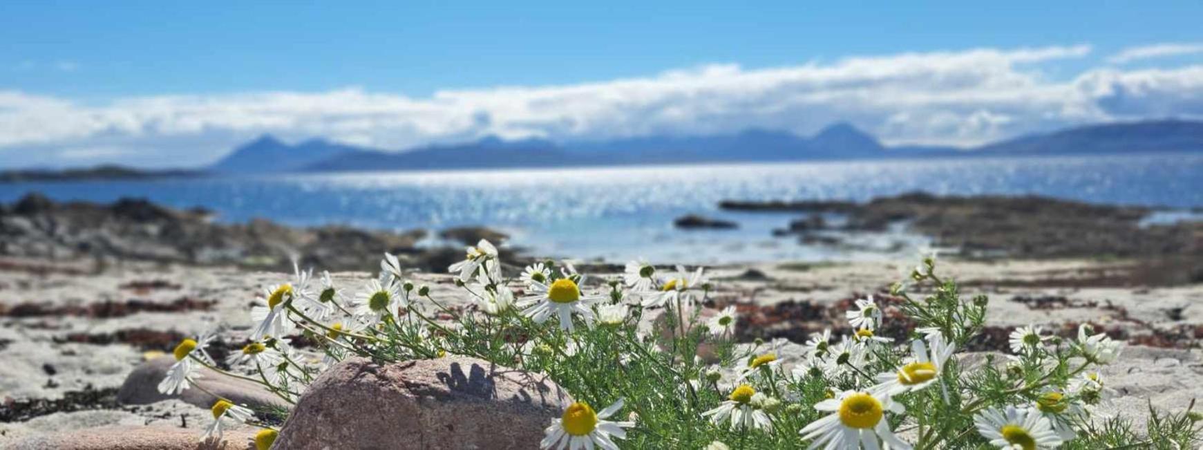 Applecross B&B Kültér fotó